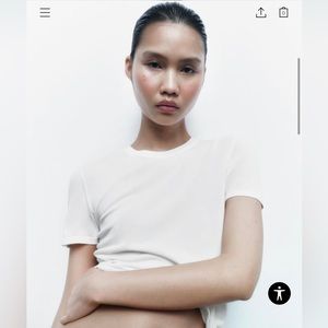 NWOT Zara Extrafine Knit Top. (never worn!)